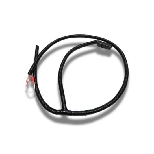 12 Volt Wire Harness with Switch