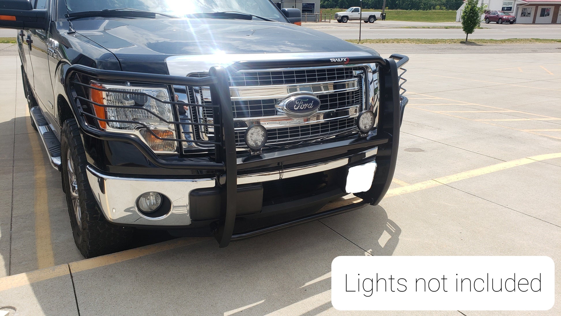 Trail FX Grille Guard - Black - image 3