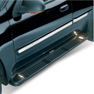 Westin Molded Running Boards (with lights)