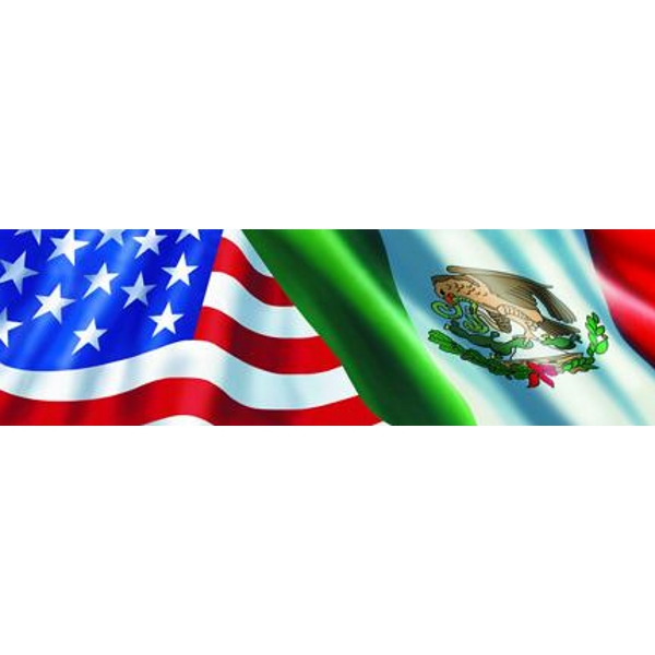 Vantage Point - Ameri-Mexican Flag - Rear Window Graphic