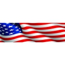 Vantage Point - American Flag - Rear Window Graphic