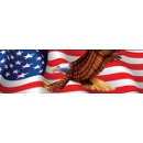 Vantage Point - Patriot Eagle - Rear Window Graphic